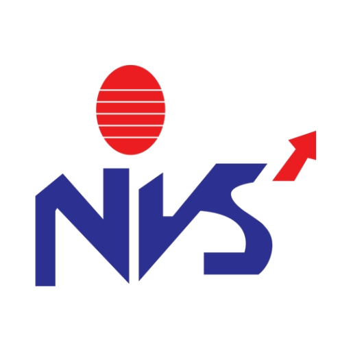 nvsconsultants.com